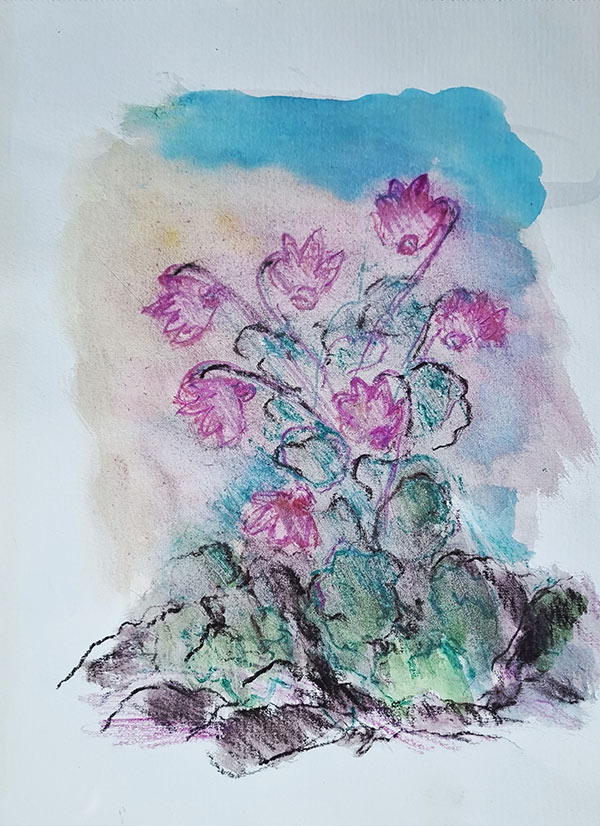ציור בצבעי מים פרחים ורודים